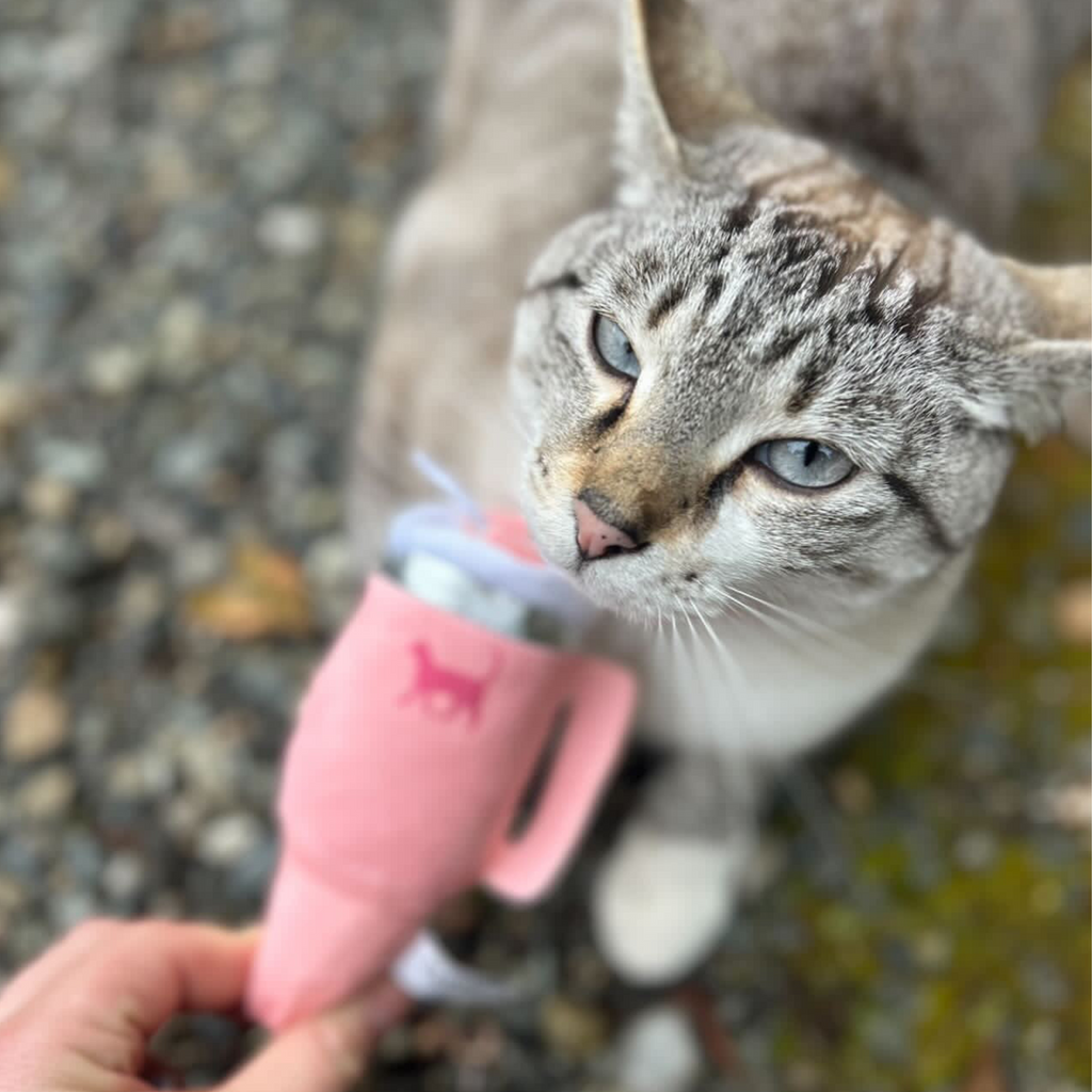 PUPROAR Kitty Cup Cat Toy