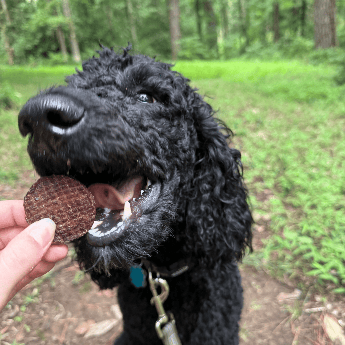 Farm To Pet Beef Chips
