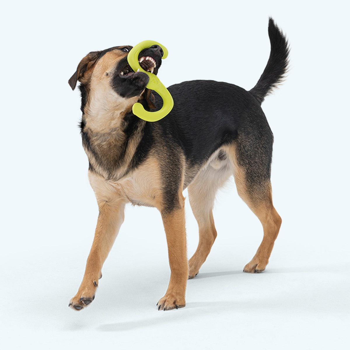 West Paw Bumi Tug Toy