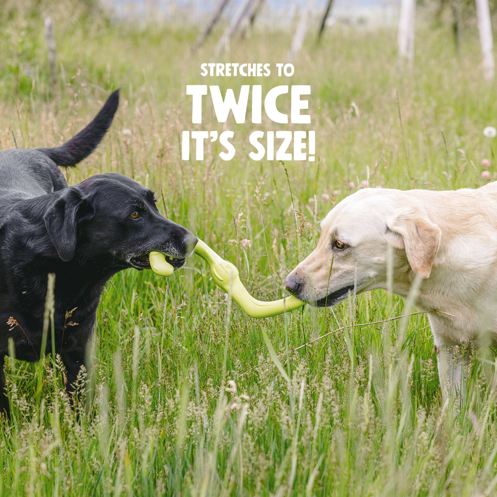 West Paw Bumi Tug Toy