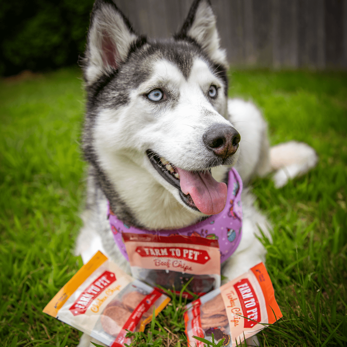 Farm To Pet Dog Treat Sampler