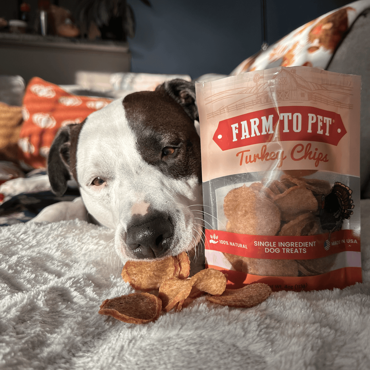 Farm To Pet Turkey Chips