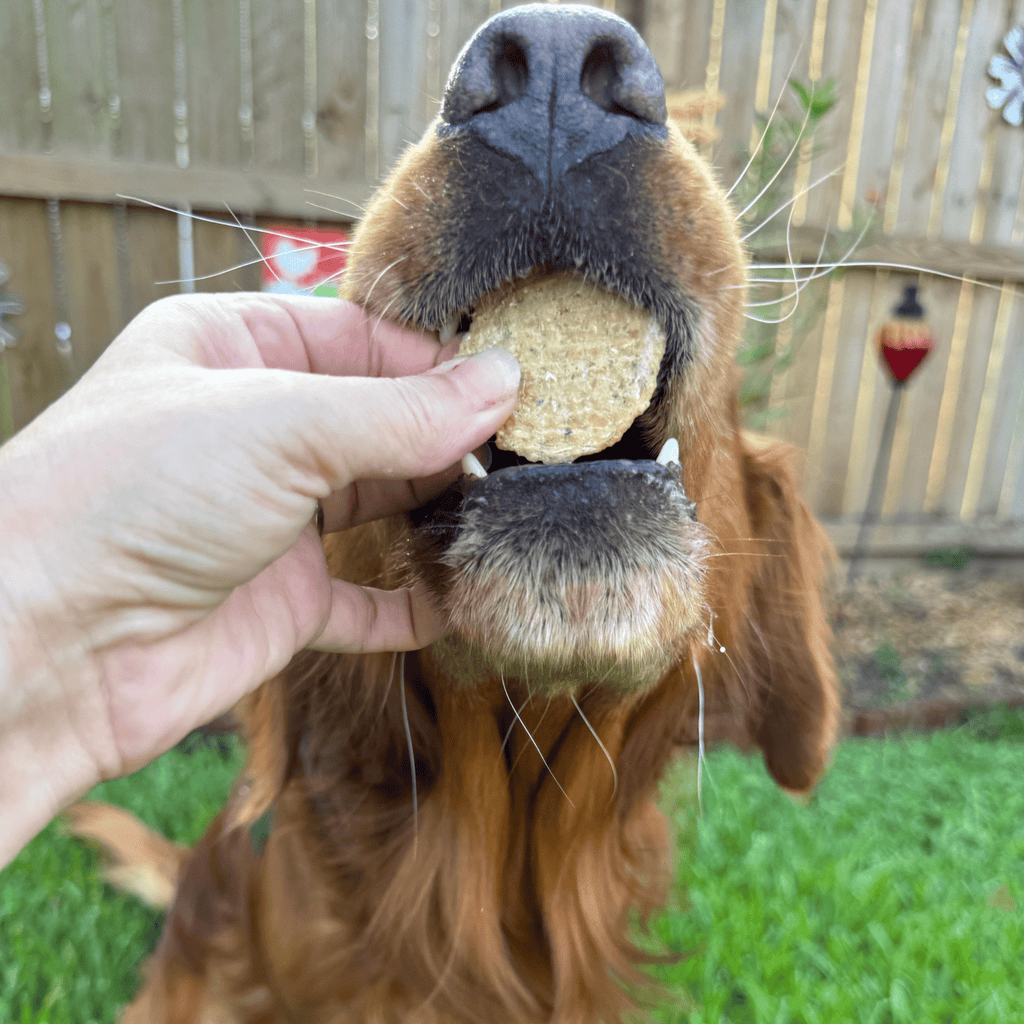 Farm To Pet Fish Chips
