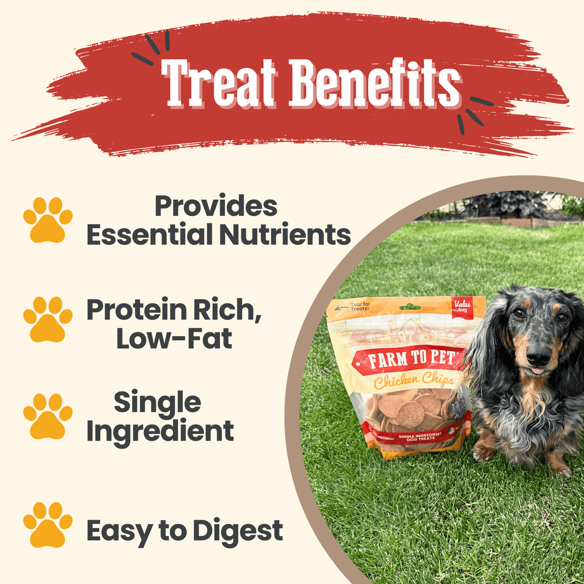Farm To Pet Chicken Chips