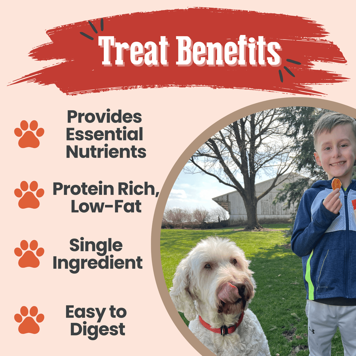 Farm To Pet Turkey Chips