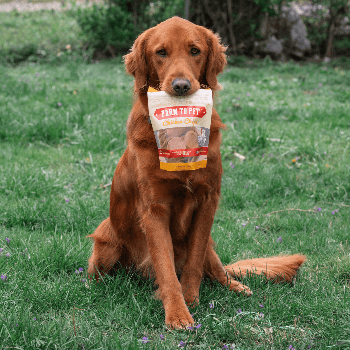 Farm To Pet Chicken Chips