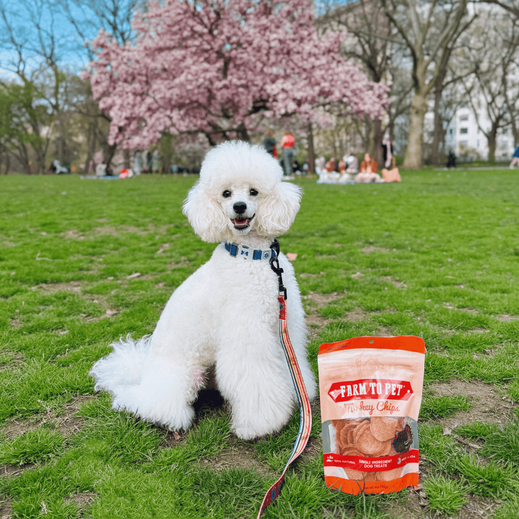 Farm To Pet Turkey Chips