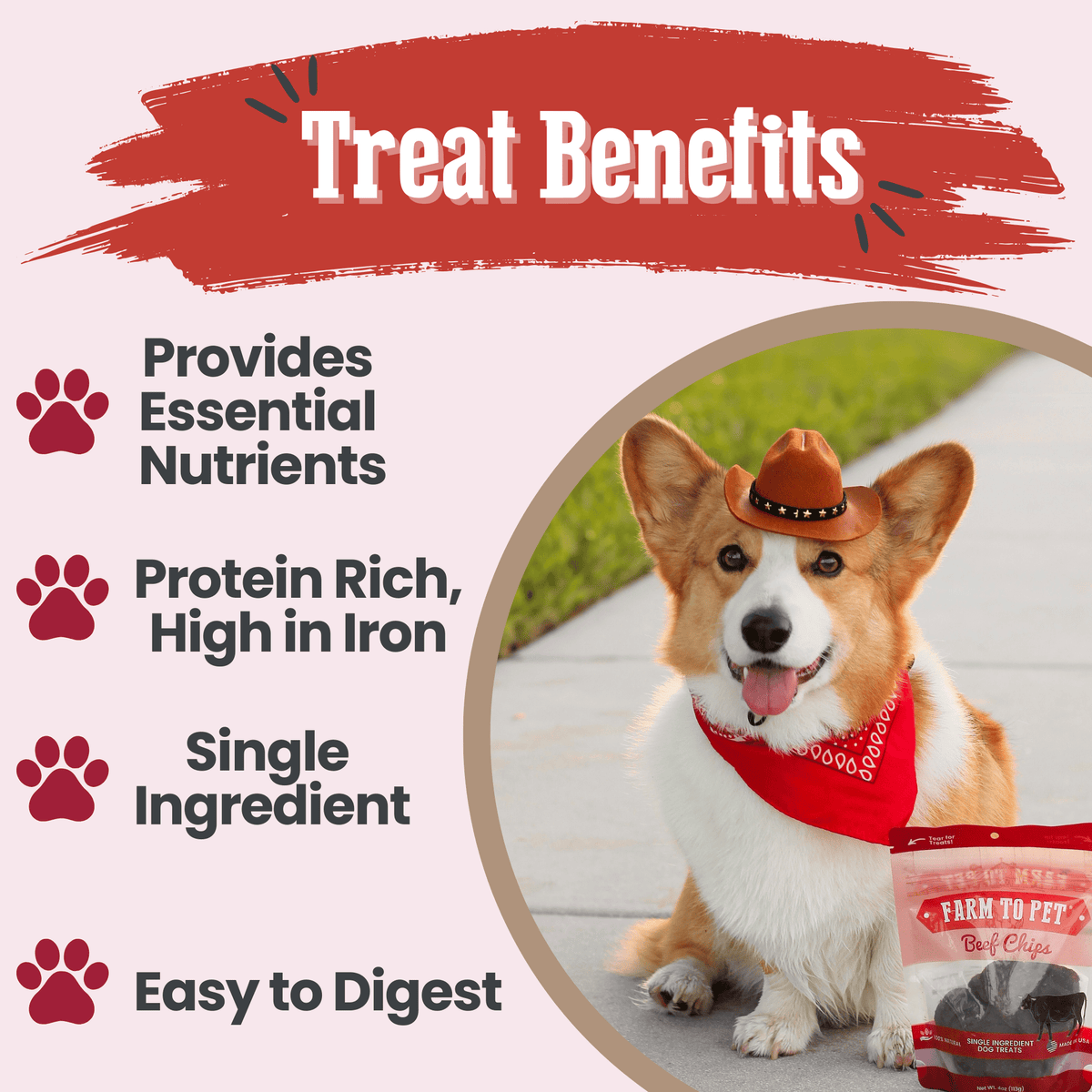 Farm To Pet Beef Chips