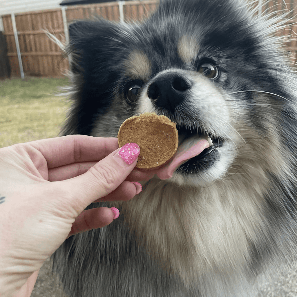 Farm To Pet Fish Chips
