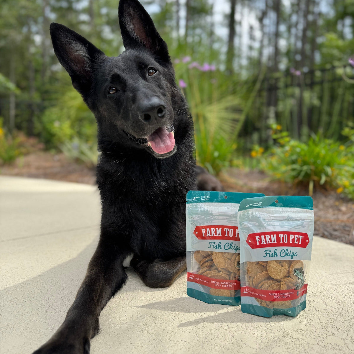 Farm To Pet Fish Chips