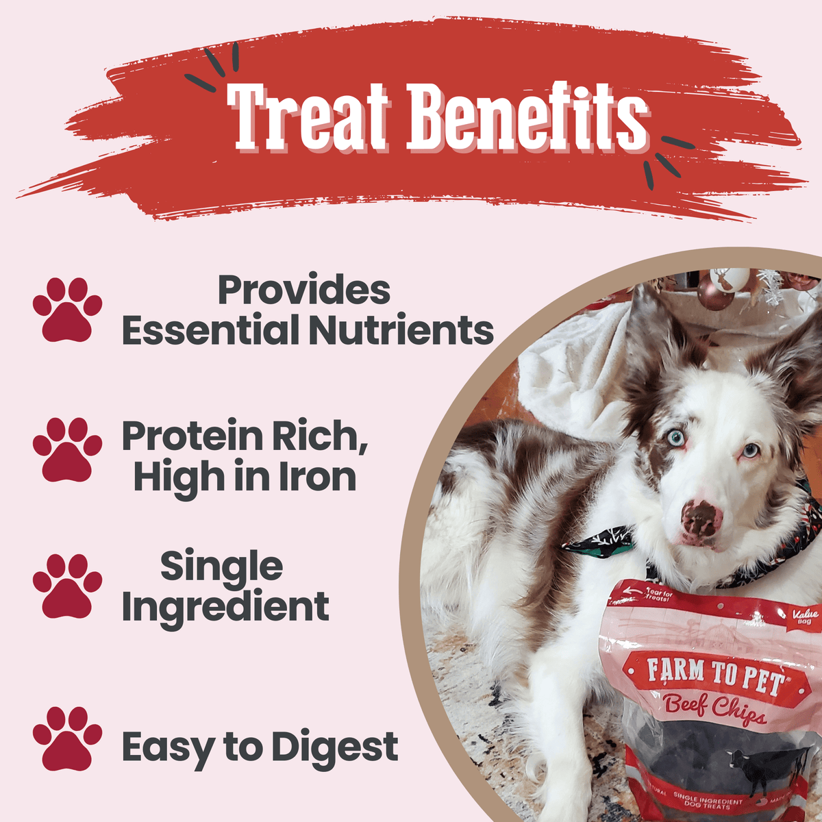 Farm To Pet Beef Chips