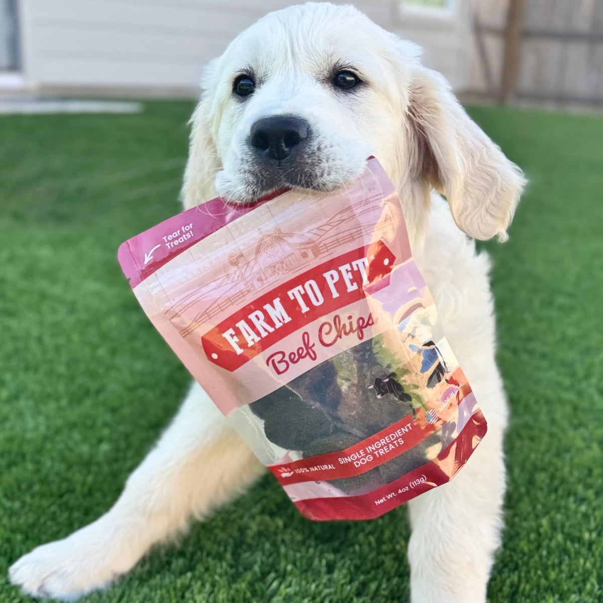 Farm To Pet Beef Chips
