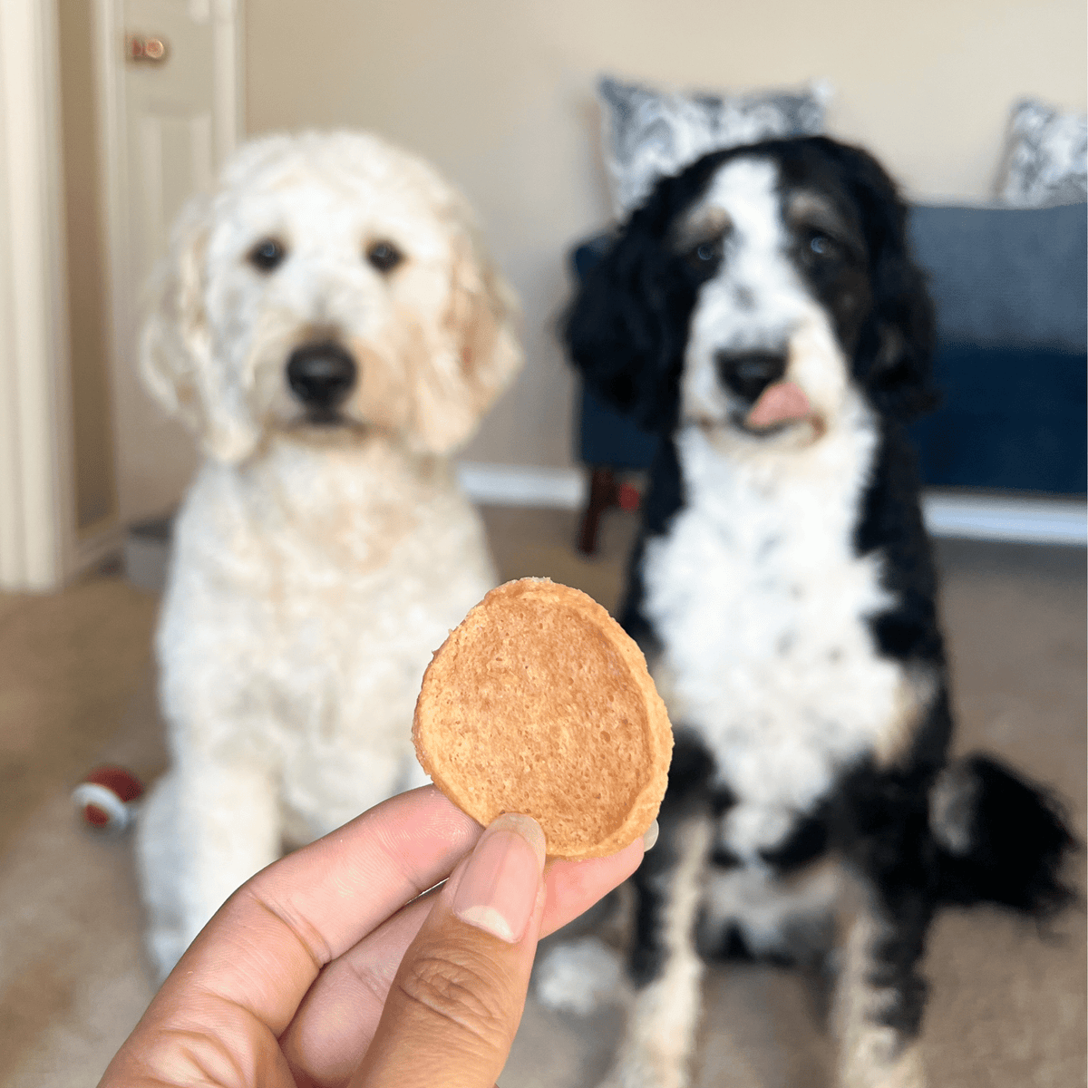 Farm To Pet Chicken Chips