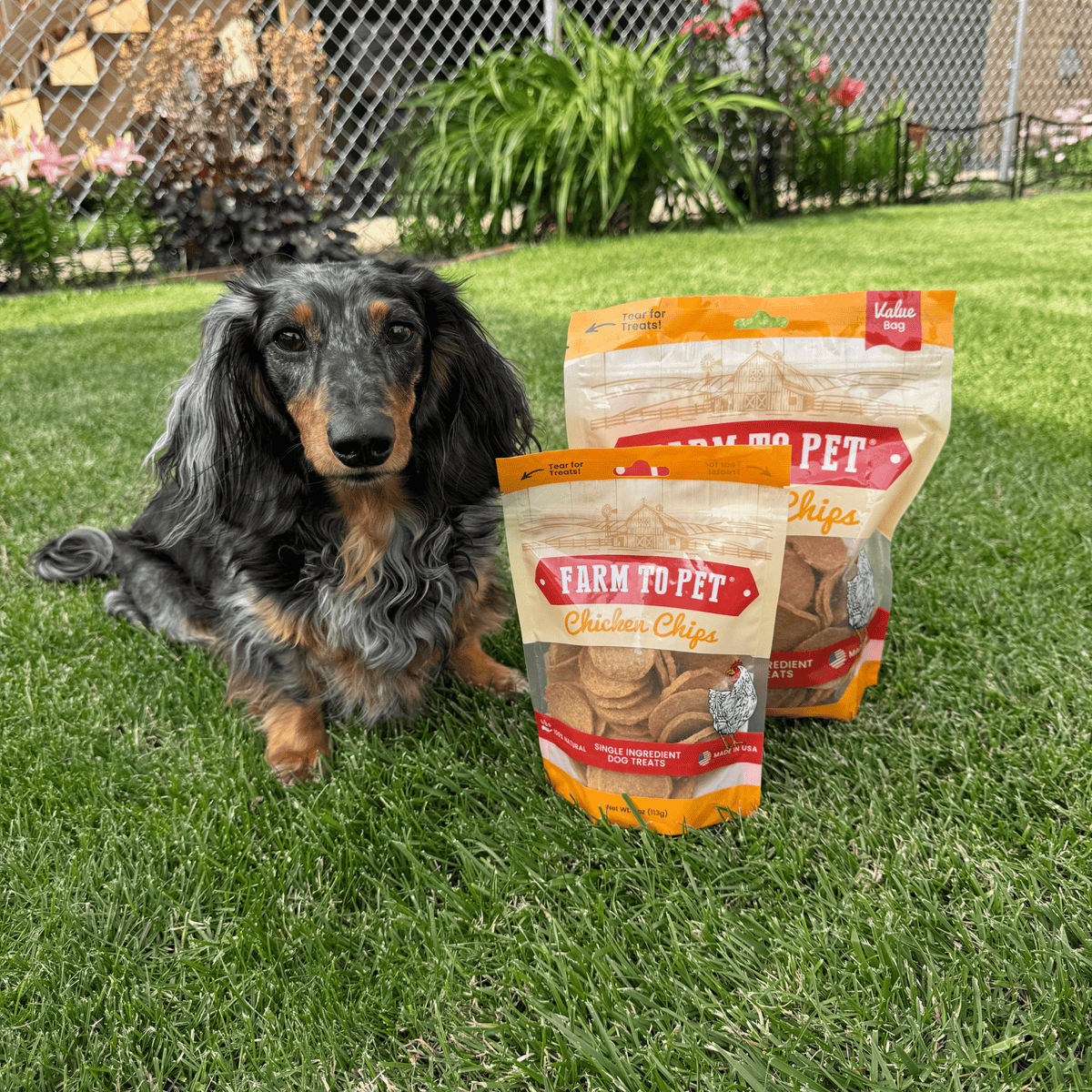 Farm To Pet Chicken Chips