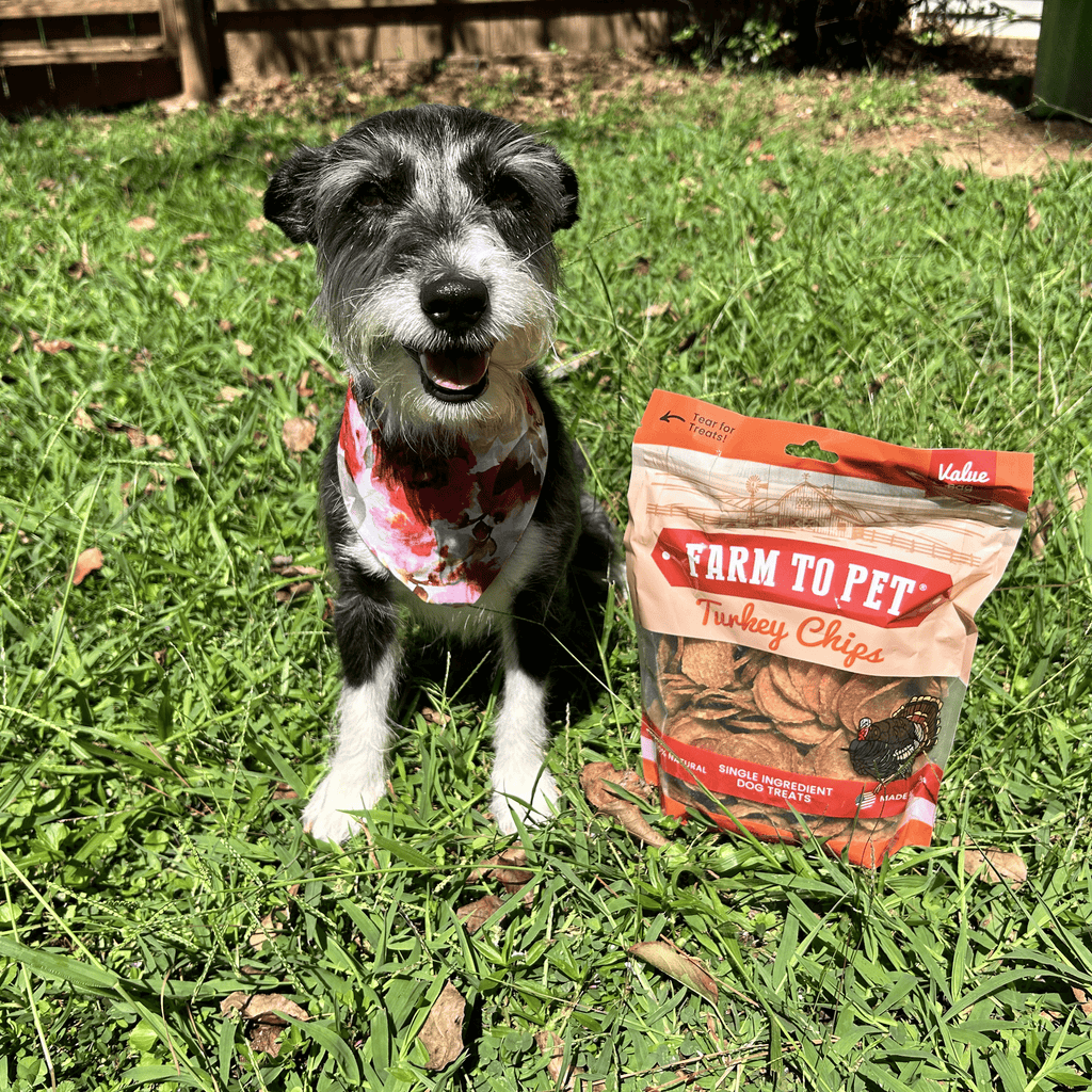 Farm To Pet Turkey Chips