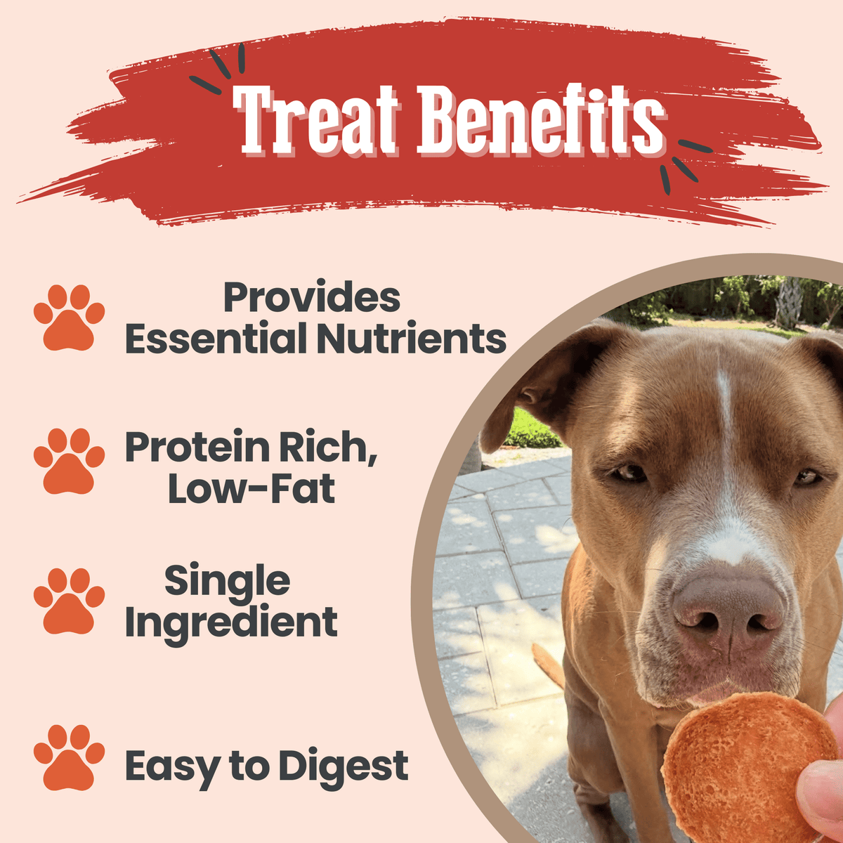 Farm To Pet Turkey Chips