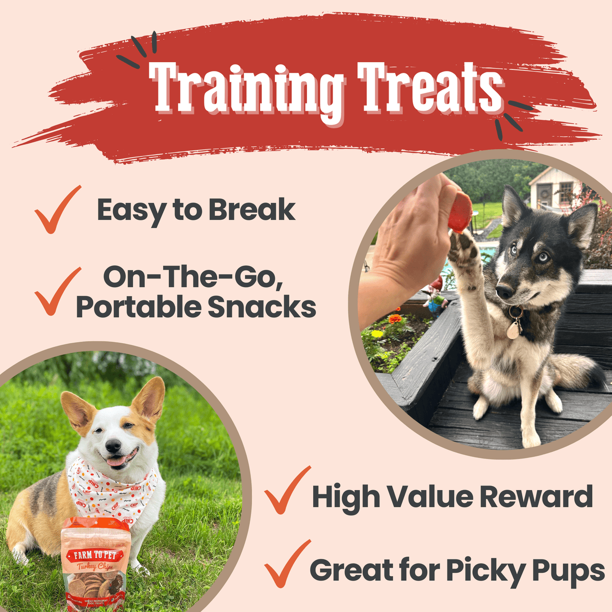 Farm To Pet Turkey Chips
