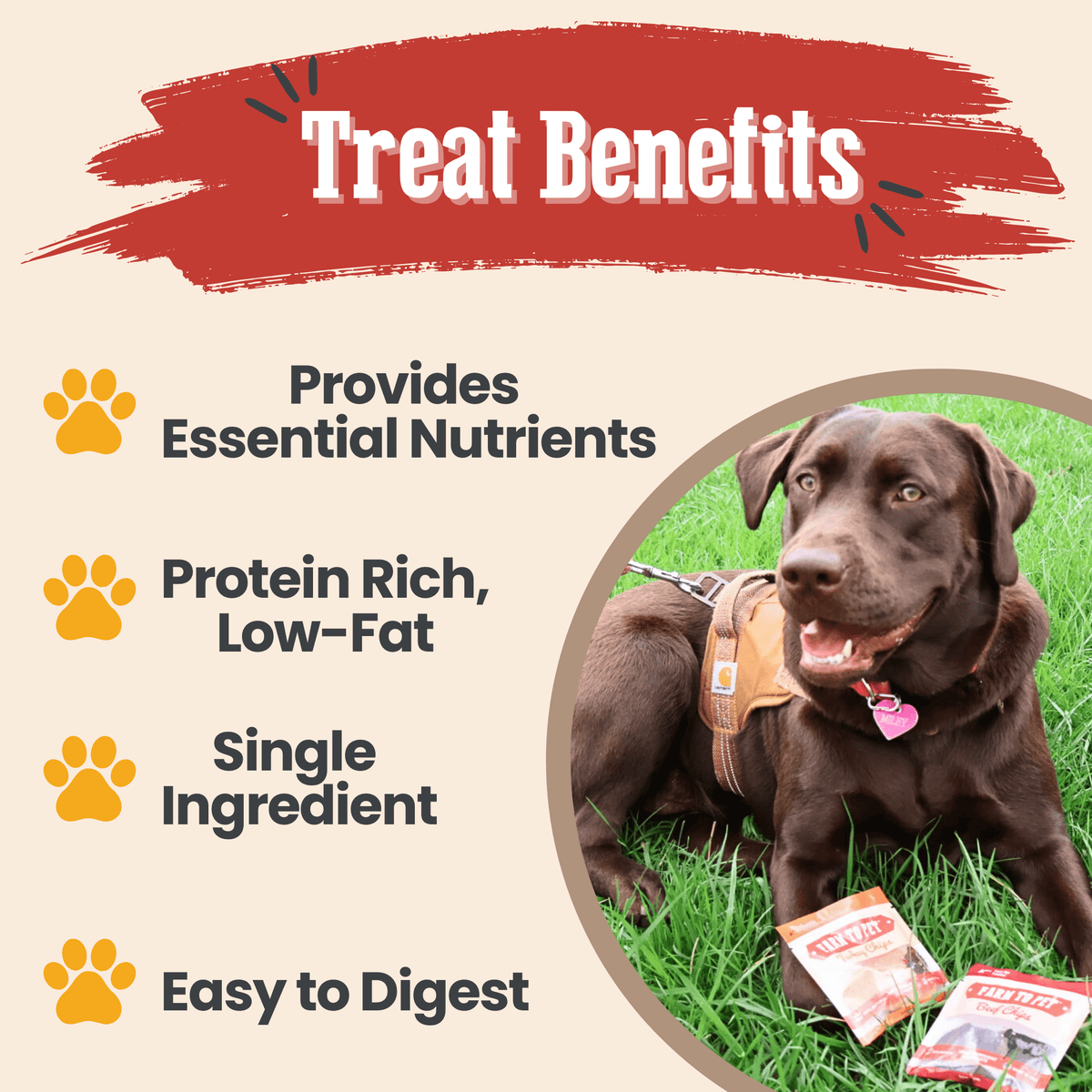 Farm To Pet Dog Treat Sampler