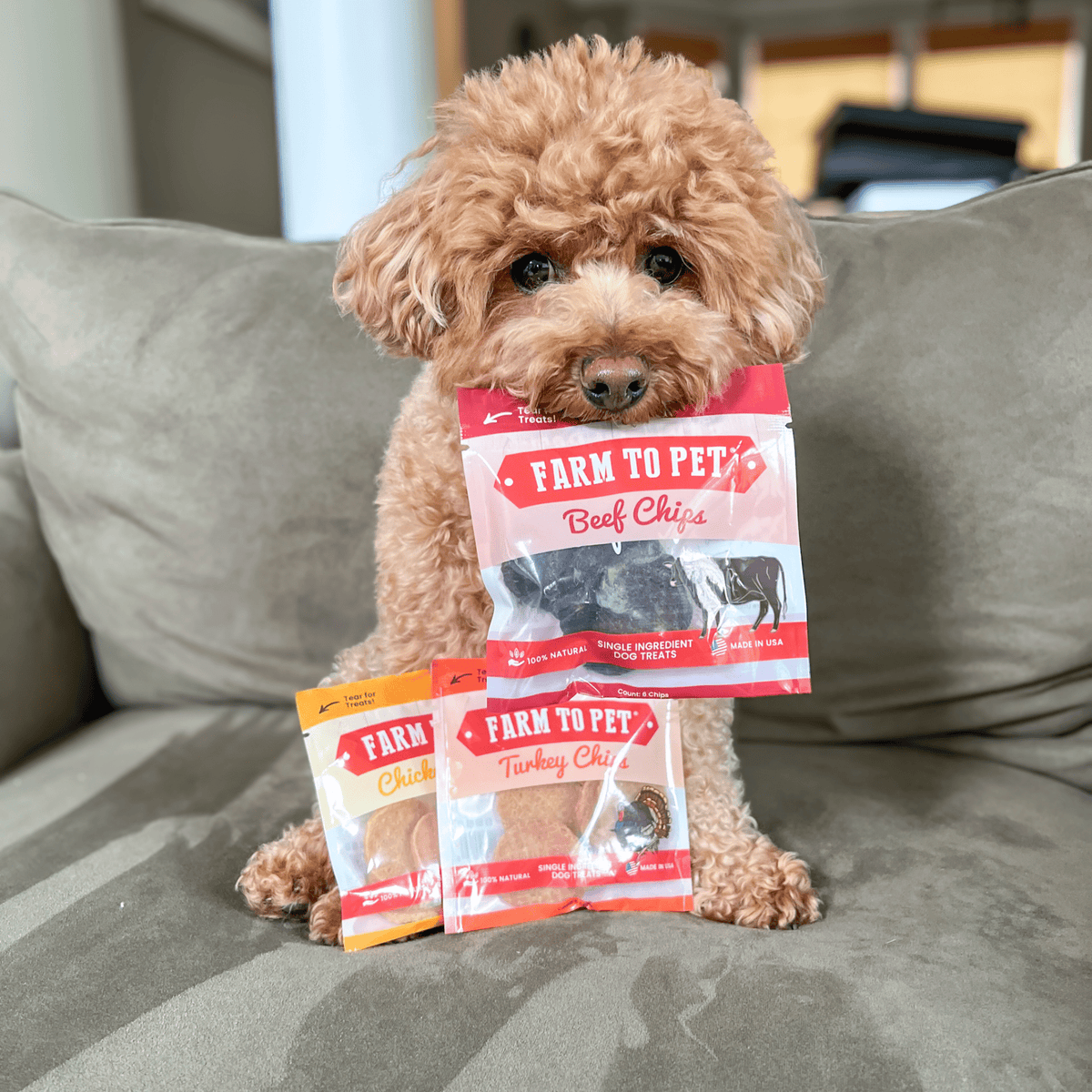 Farm To Pet Dog Treat Sampler
