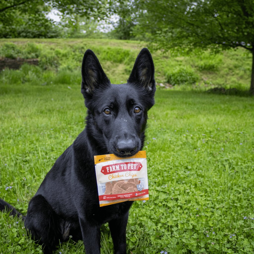 Farm To Pet Chicken Chips Snack Packs