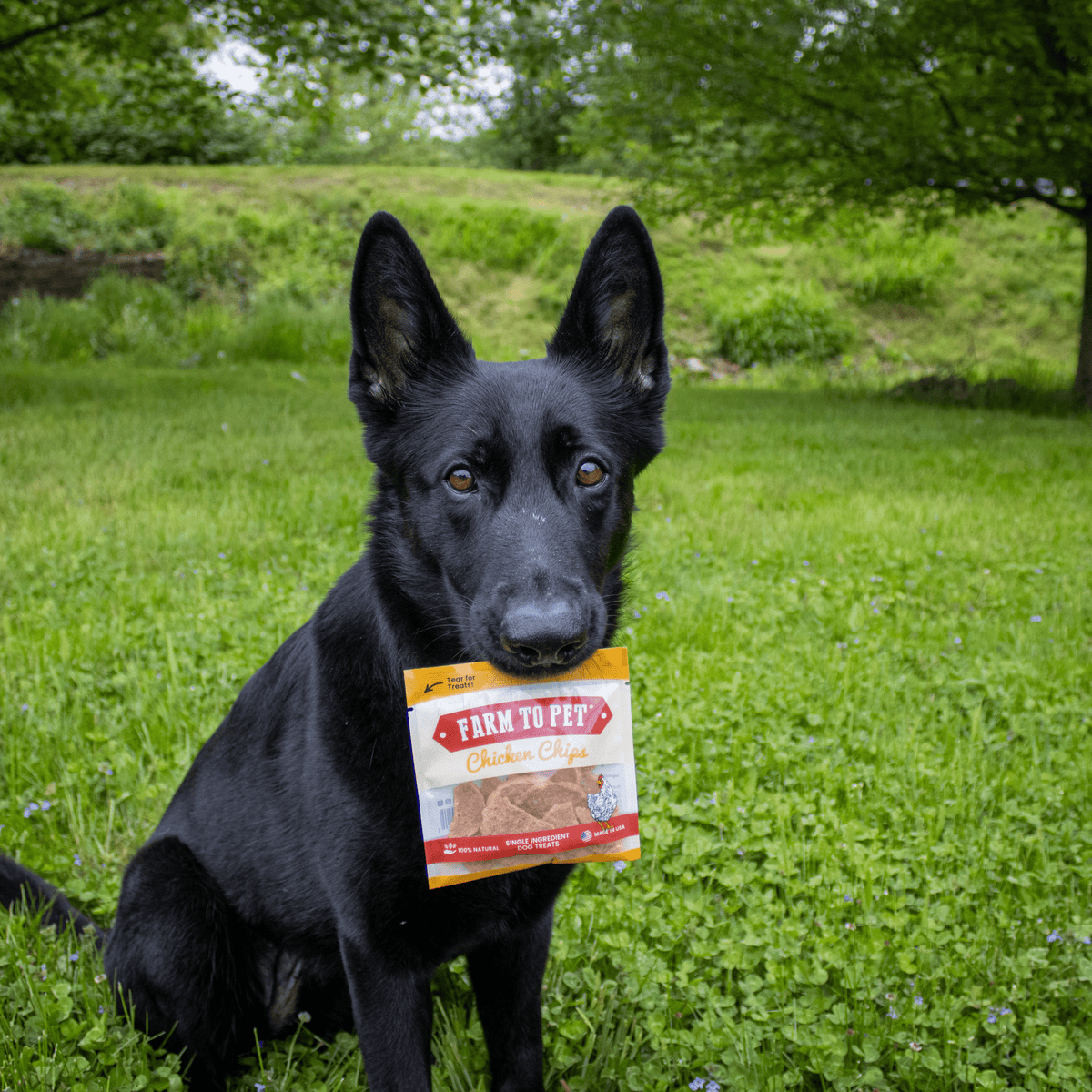 Farm To Pet Chicken Chips Snack Packs