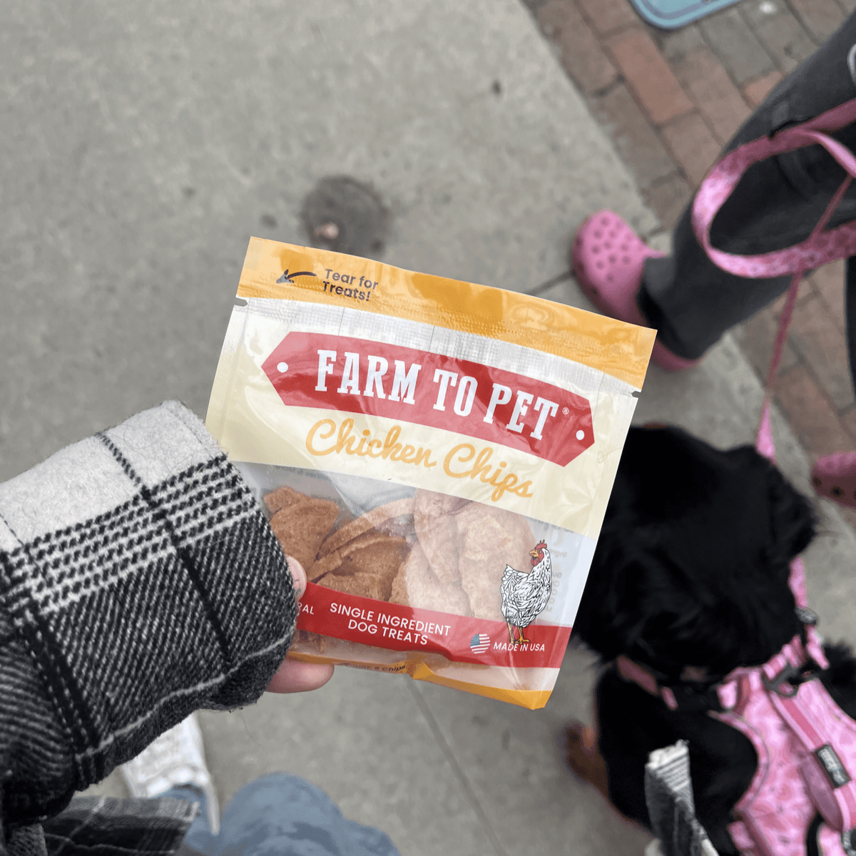 Farm To Pet Chicken Chips Snack Packs