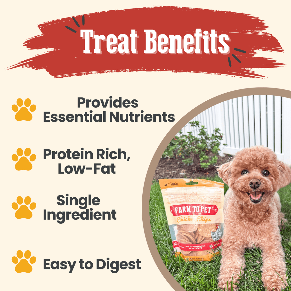 Farm To Pet Chicken Chips