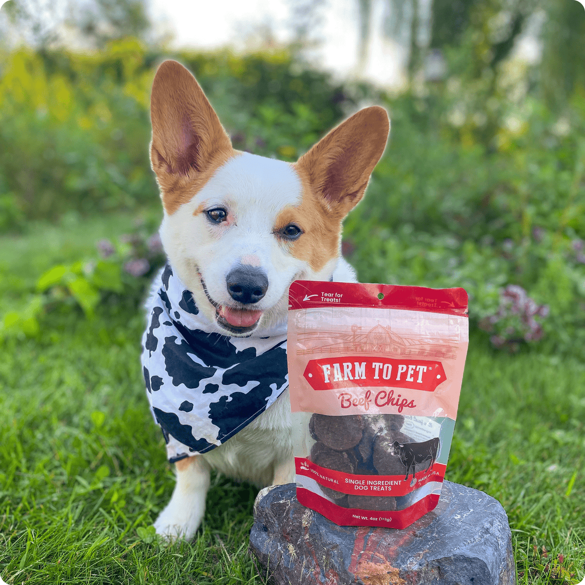 Farm To Pet Beef Chips