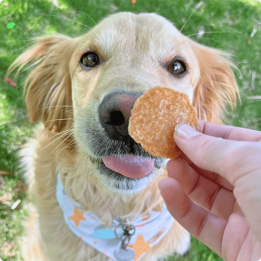 Farm To Pet Chicken Chips