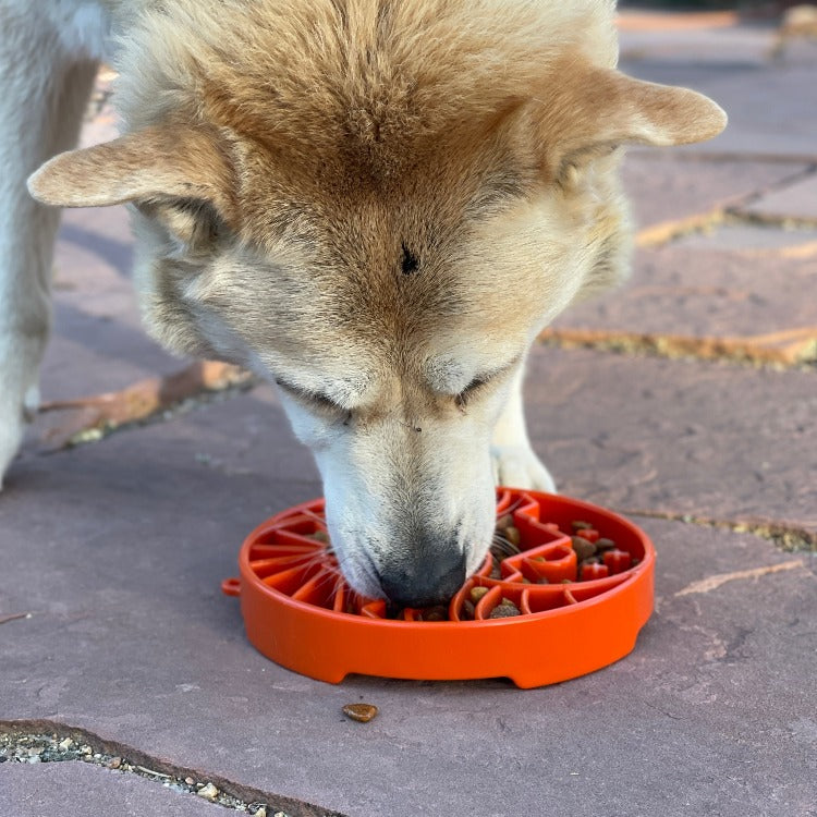 SodaPup Sun & Moon eTray Slow Feeder