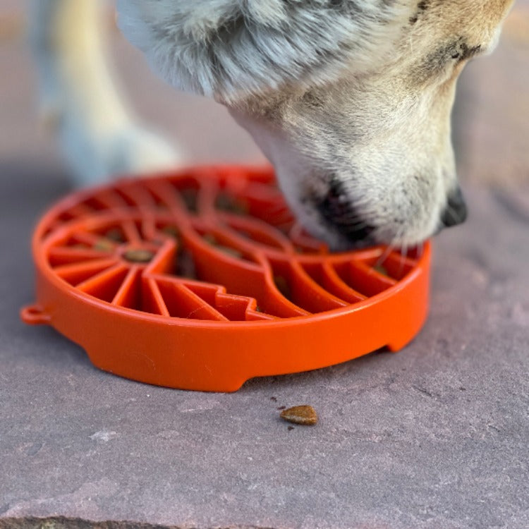 SodaPup Sun & Moon eTray Slow Feeder