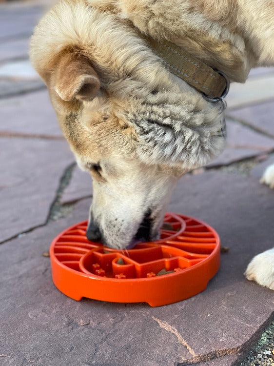 SodaPup Sun & Moon eTray Slow Feeder