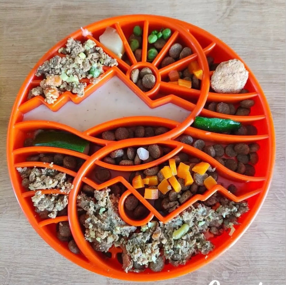 SodaPup Sun & Moon eTray Slow Feeder