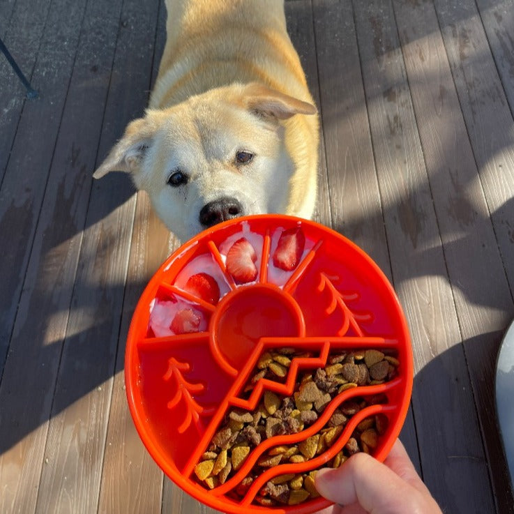 SodaPup Great Outdoors Slow Feeder Bowl