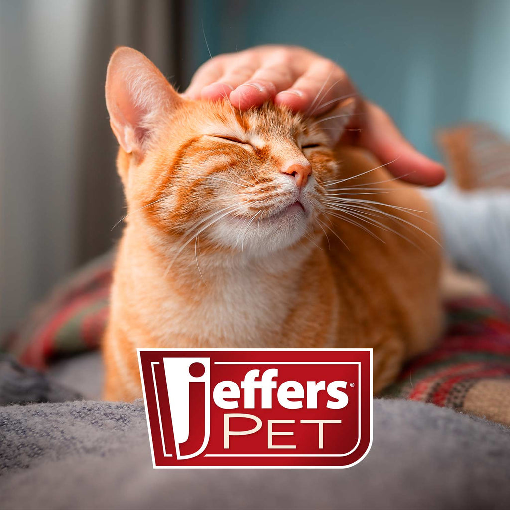 Jeffers Magic Spring Undercoat Rake