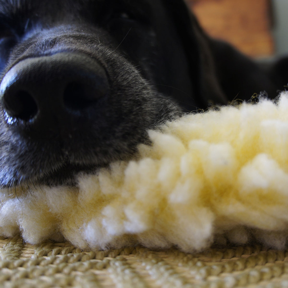 HuggleHounds HuggleFleece Mat Cat & Dog Bed