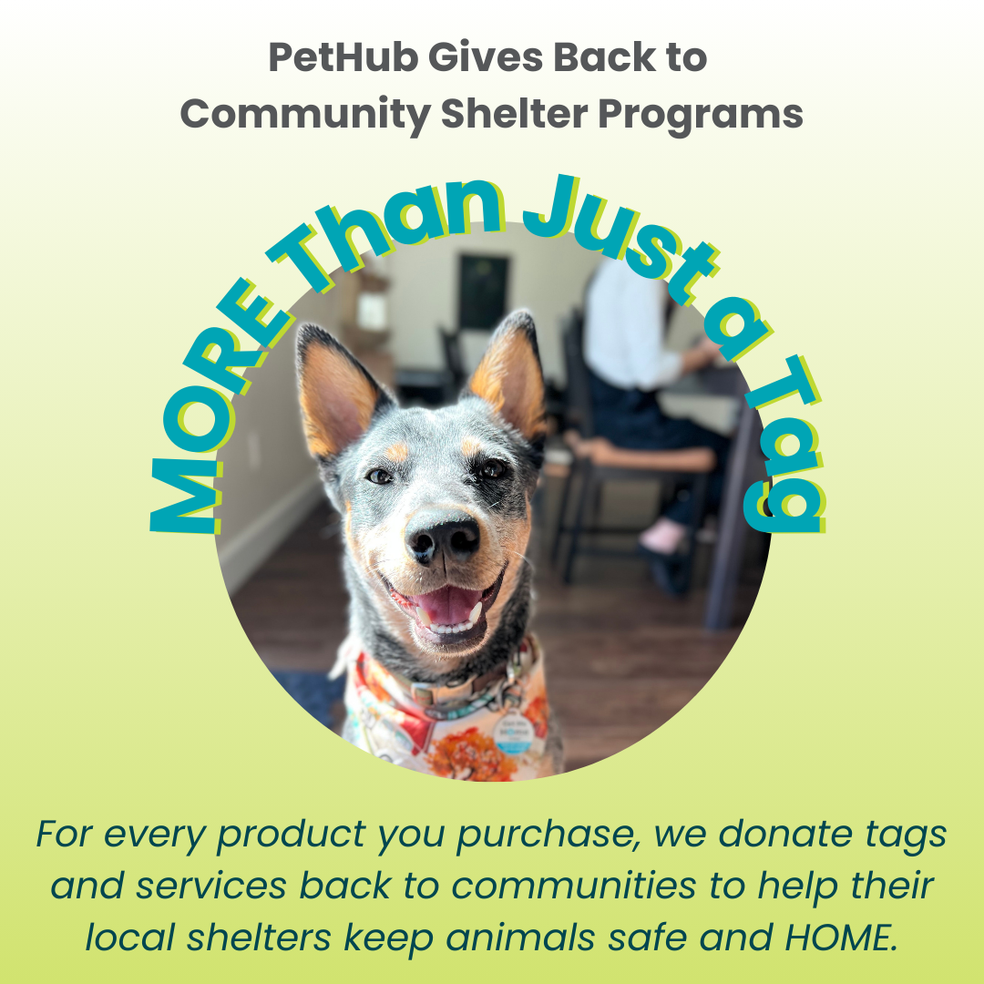 PetHub QR Pet ID Tag