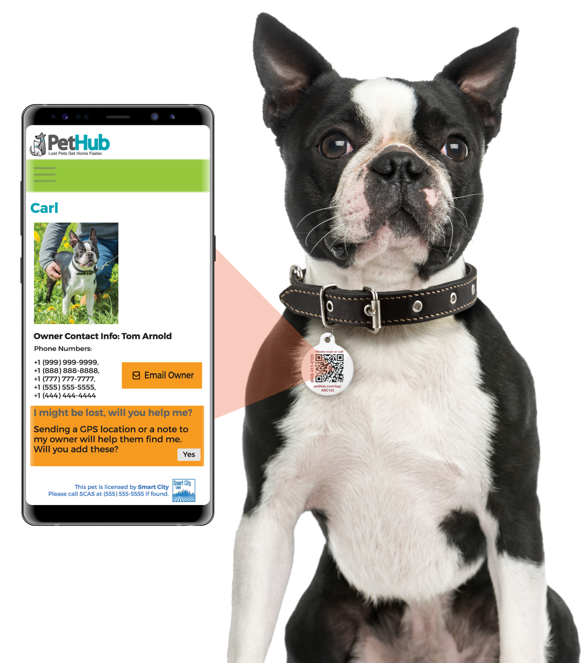 PetHub QR Pet ID Tag