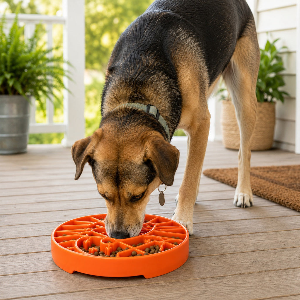 SodaPup Sun & Moon eTray Slow Feeder