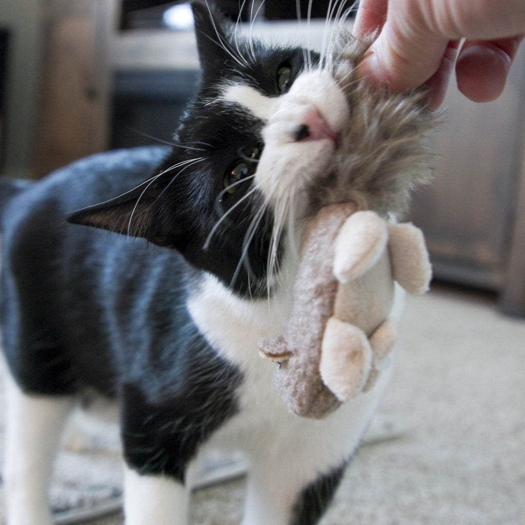 HuggleKats Squirrel Cat Toy