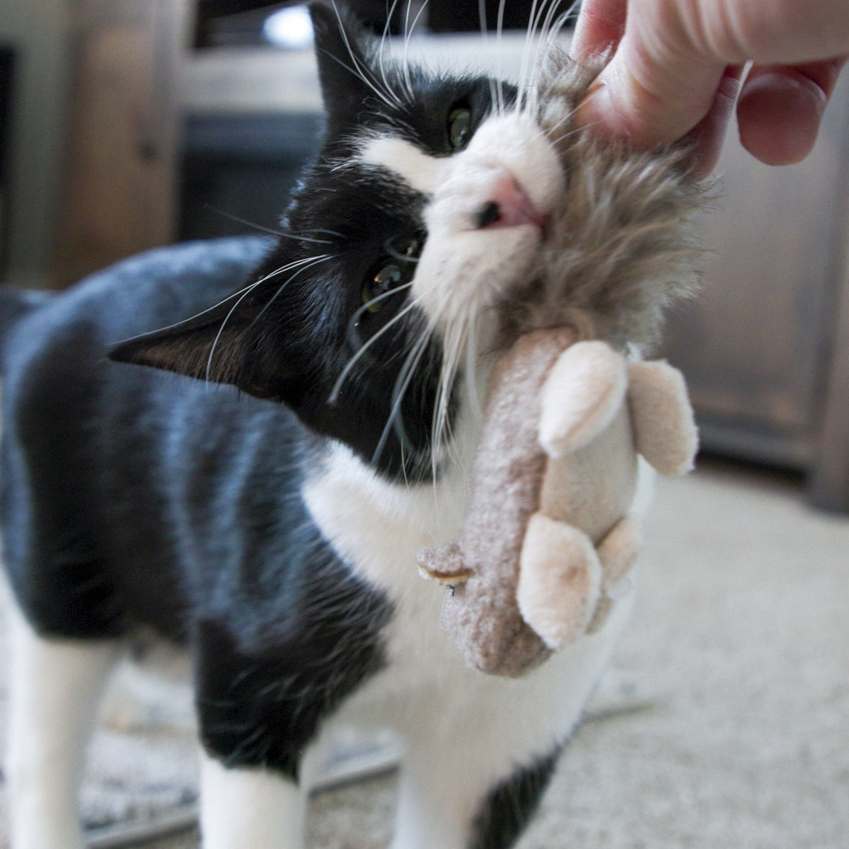HuggleKats Squirrel Cat Toy