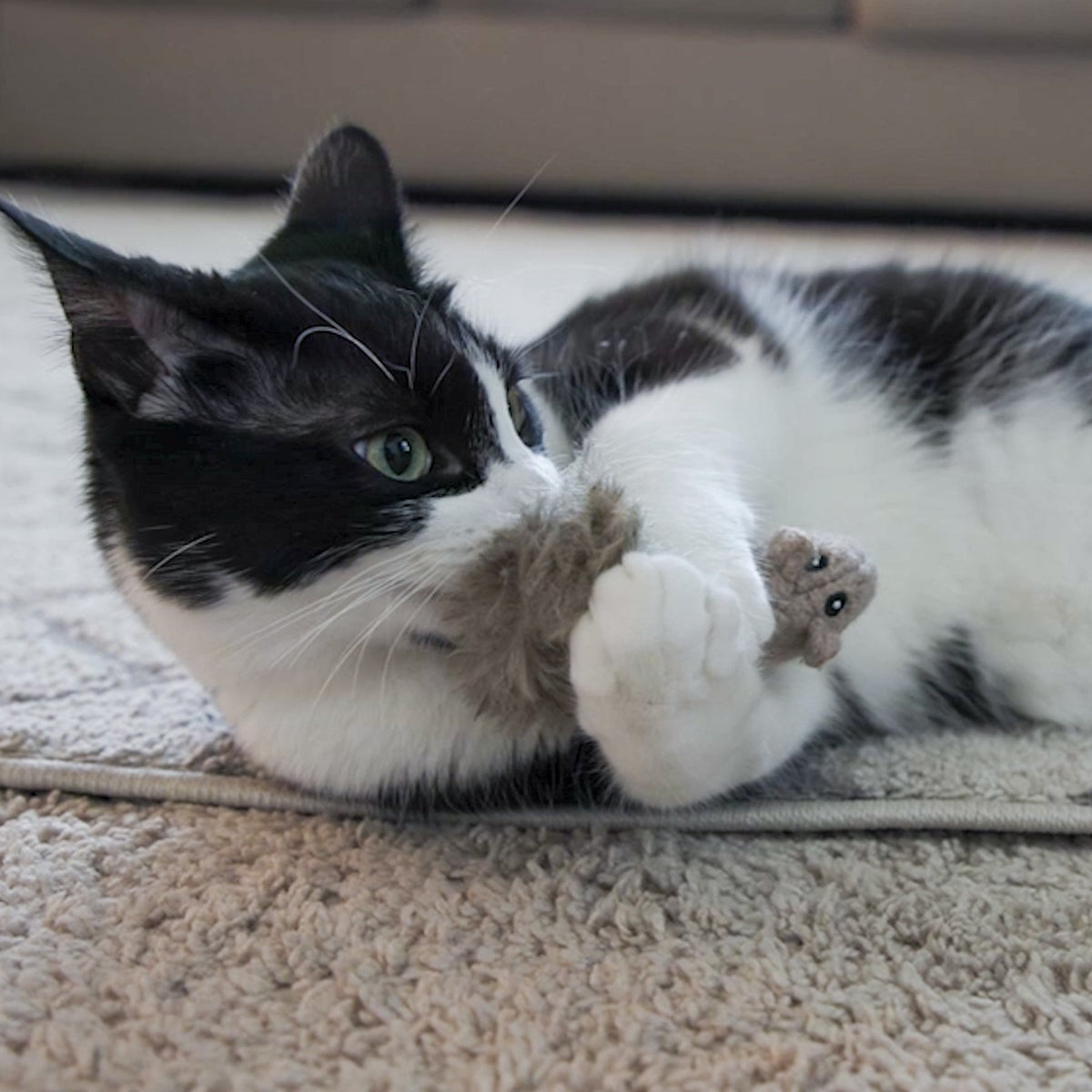 HuggleKats Squirrel Cat Toy