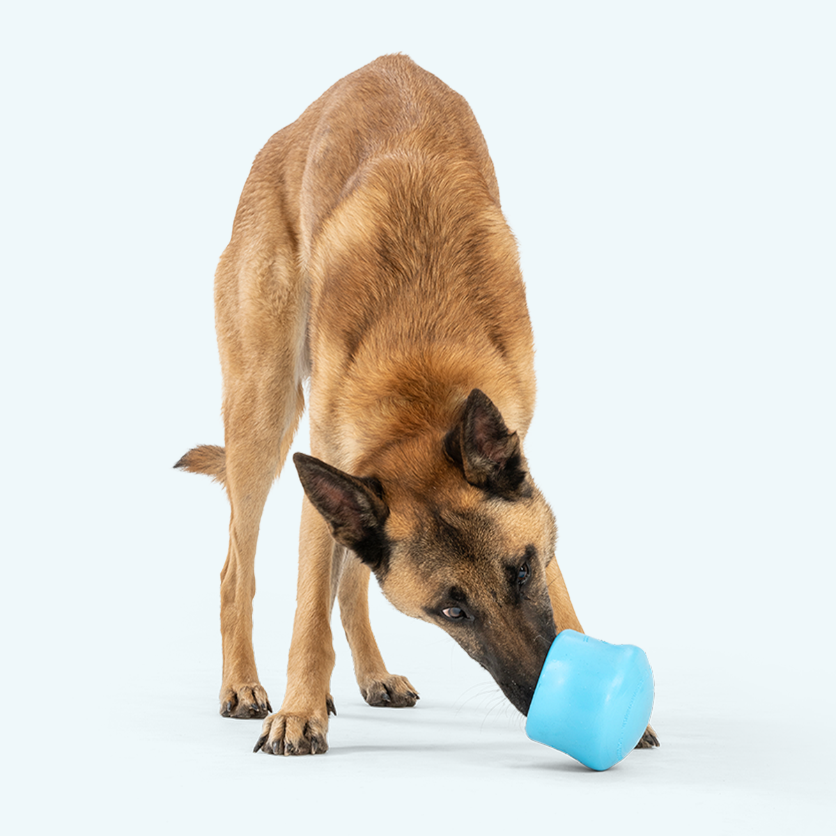 West Paw Toppl Treat Toy