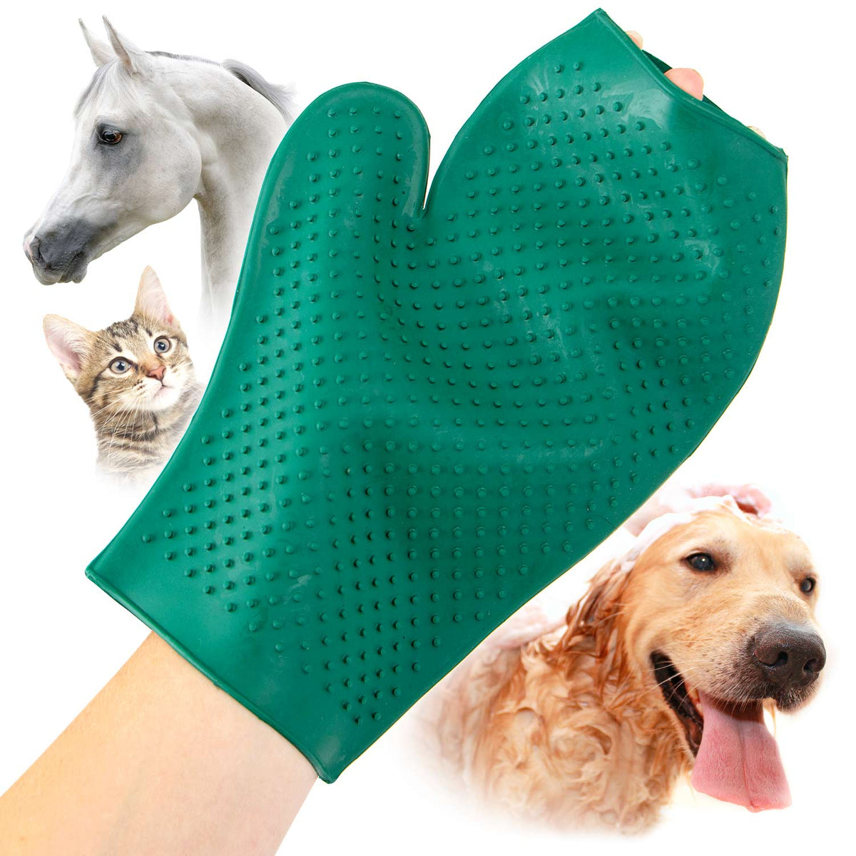 Jeffers GROOMIT Grooming Glove