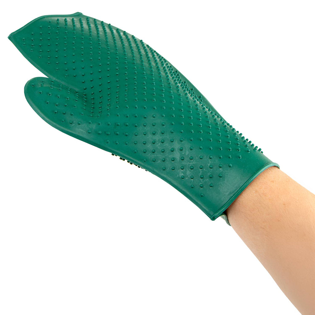 Jeffers GROOMIT Grooming Glove