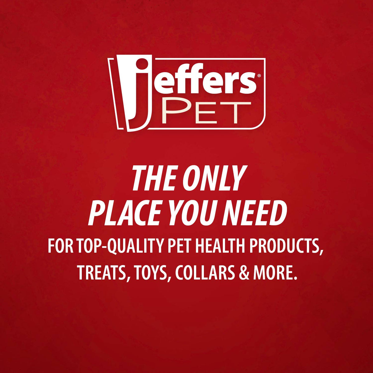 Jeffers Magic Spring Grooming Comb