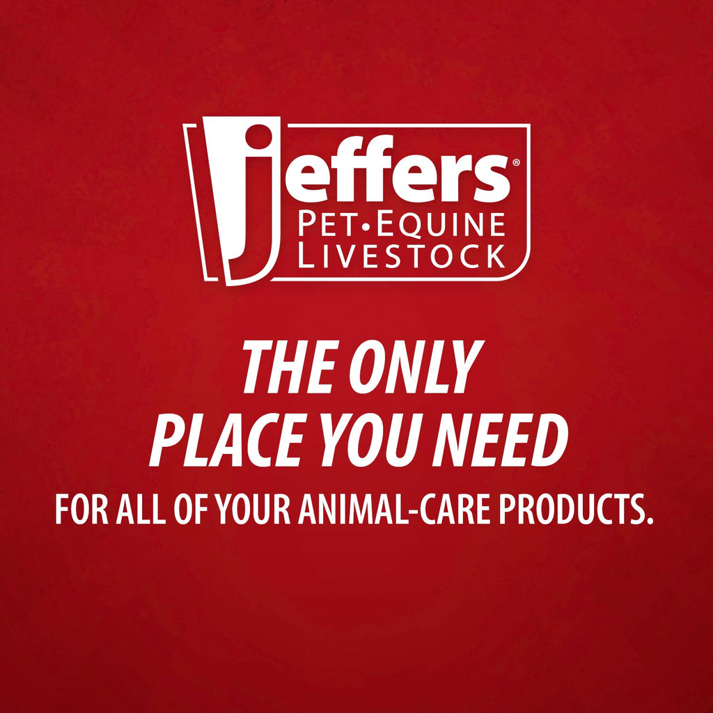 Jeffers GROOMIT Grooming Glove