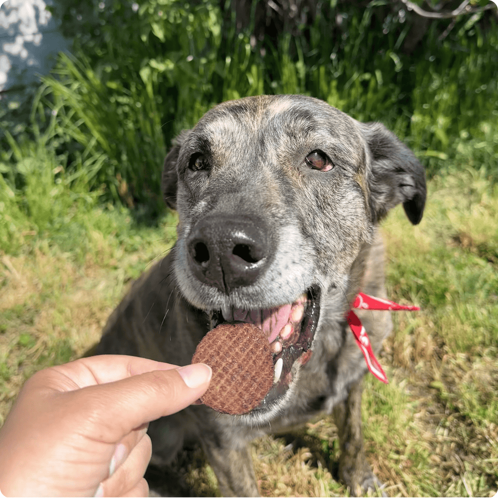 Farm To Pet Beef Chips