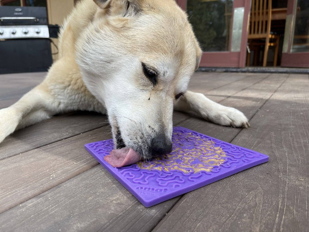 SodaPup Bones Lick Mat