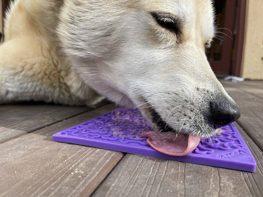 SodaPup Bones Lick Mat